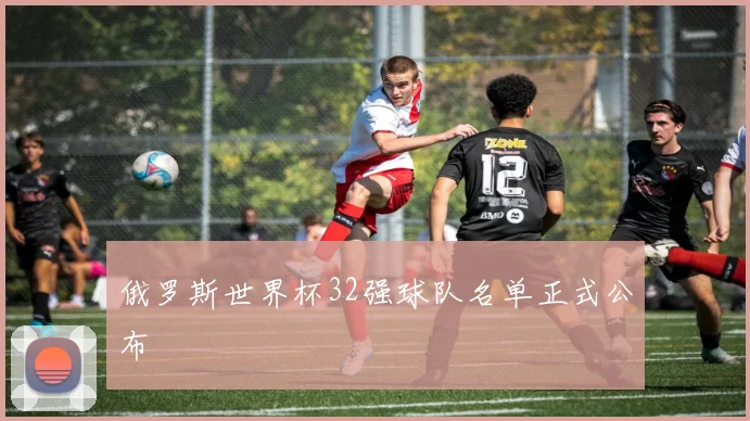 俄罗斯世界杯32强球队名单正式公布