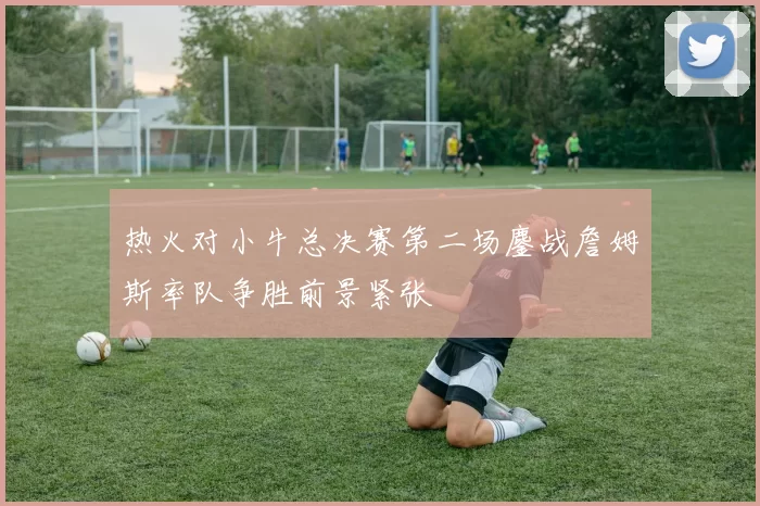 热火对小牛总决赛第二场鏖战詹姆斯率队争胜前景紧张