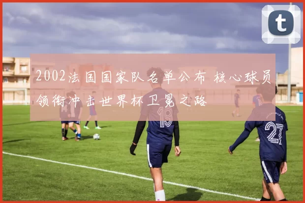 2002法国国家队名单公布 核心球员领衔冲击世界杯卫冕之路