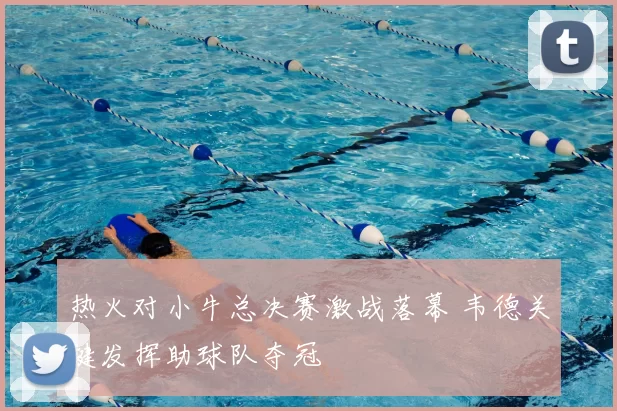 热火对小牛总决赛激战落幕 韦德关键发挥助球队夺冠