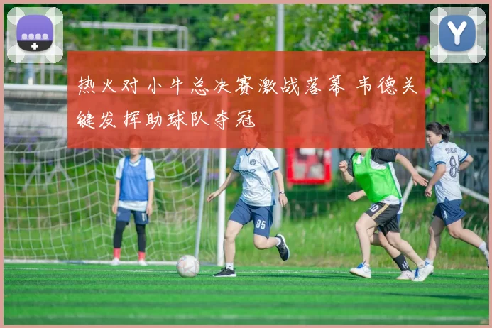 热火对小牛总决赛激战落幕 韦德关键发挥助球队夺冠